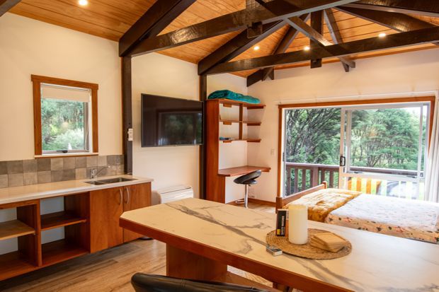 Hofer Chalet - big screen tv/desk