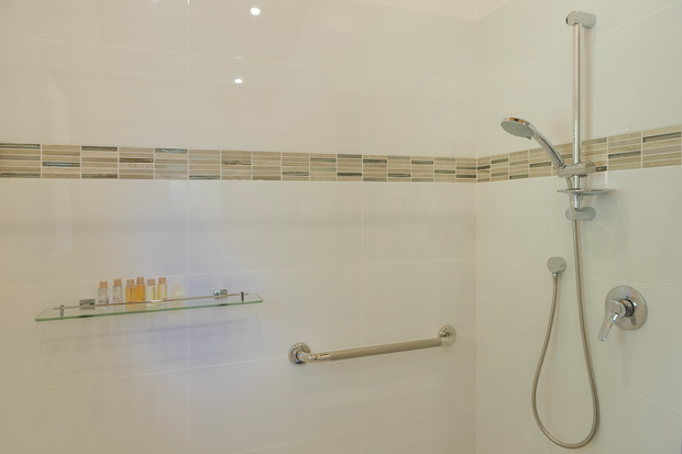 Hofer Chalet - large modern shower