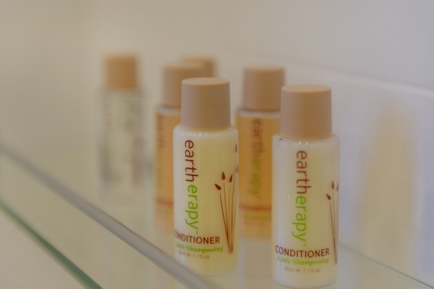 Hofer Chalet - toiletries provided