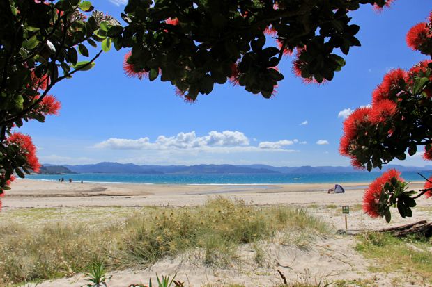Kuaotunu Beach