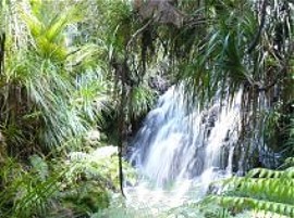 Hofer Chalets holiday accommodation private and self contained Coromandel NZ