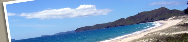 Hofer Chalets holiday accommodation private and self contained Coromandel NZ