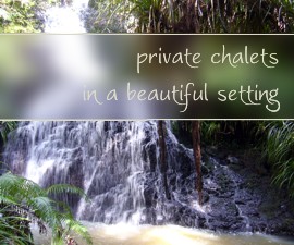 waterfall at Kuaotunu Chalets holiday accommodation private and self contained Coromandel NZ
